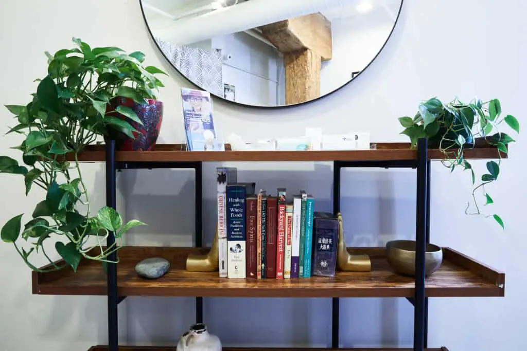 Lobby details, bookshelf with mirror and plants.