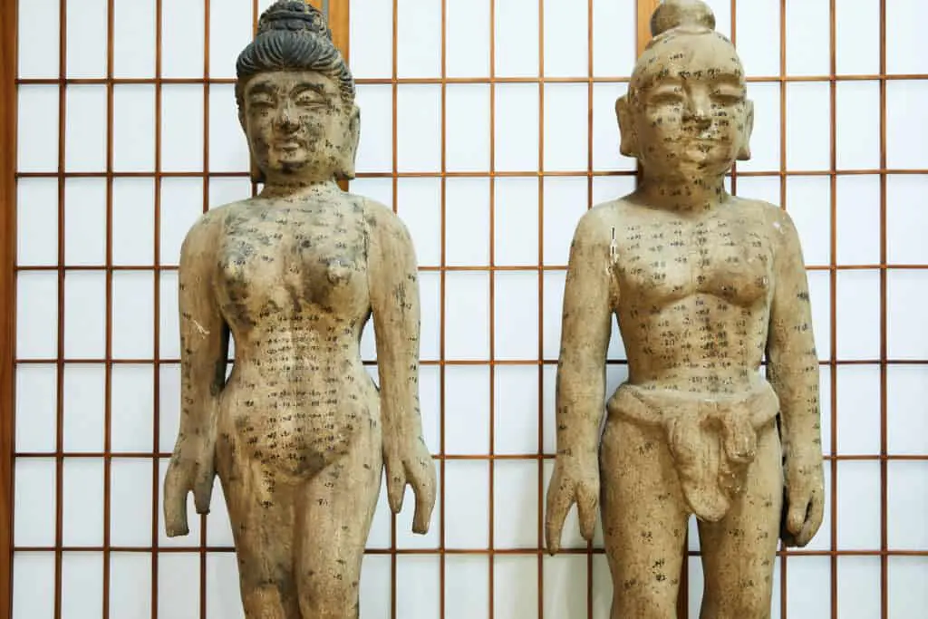 Acupuncture models, wooden.